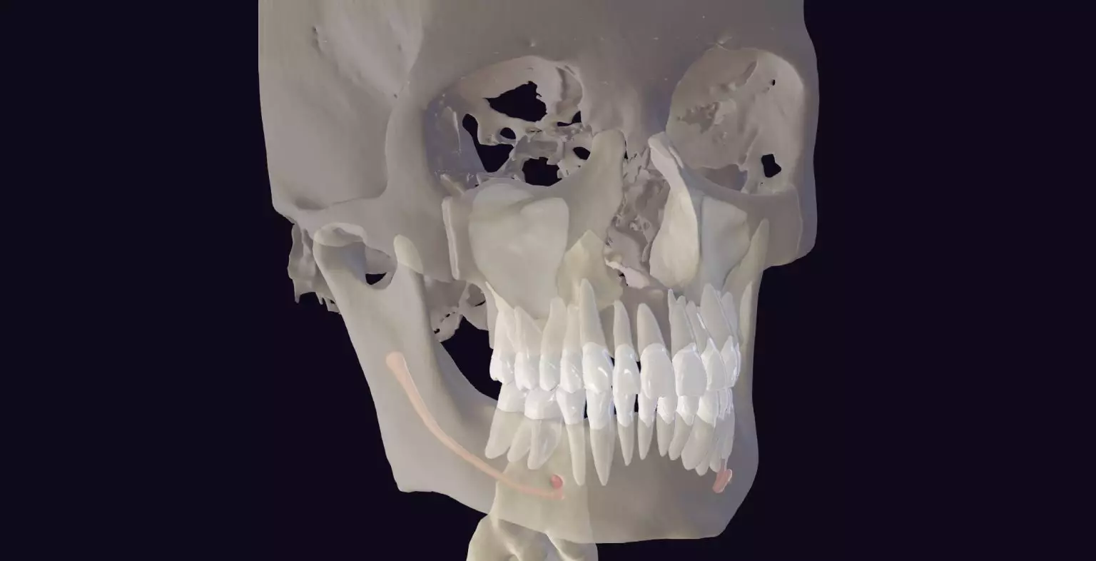 Segmentacja CBCT